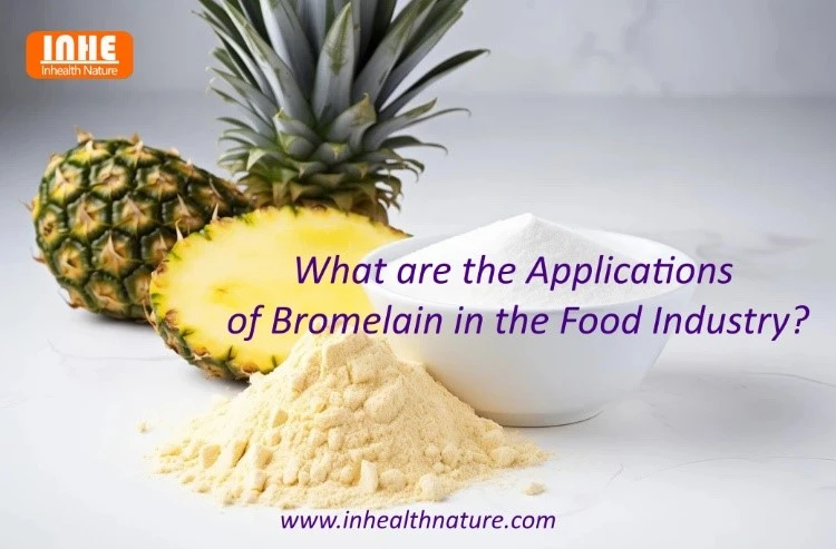 What are the Applications of Bromelain in the Food Industry
